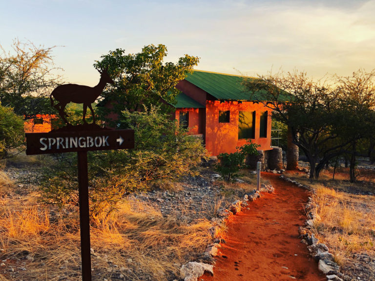 Chalet accommodation at Uukwaluudhi Safari Lodge